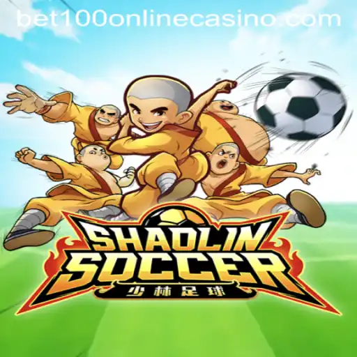 Exploring the Excitement of ShaolinSoccer